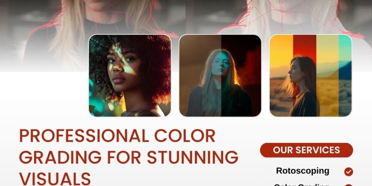 Try Our Professional Color Grading – See the Difference